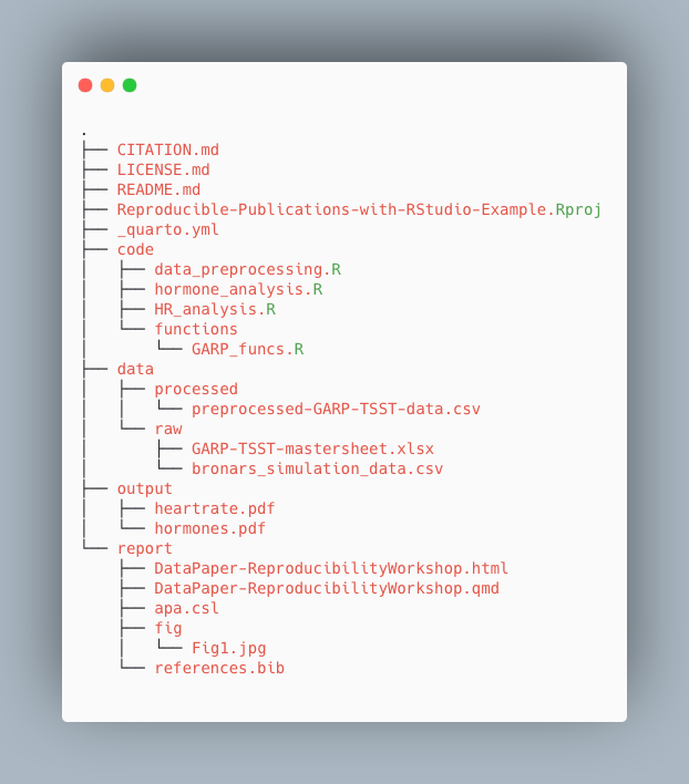 directory tree