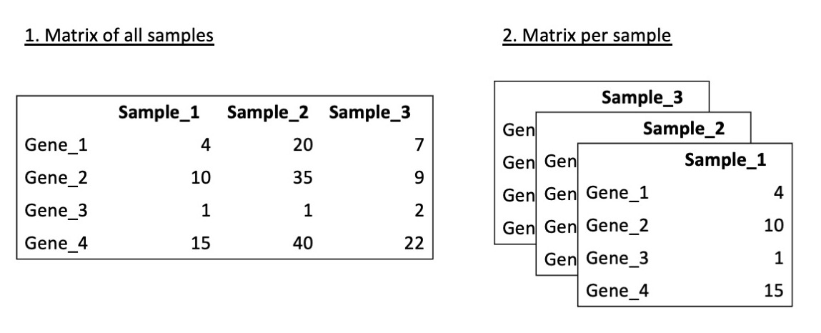 Illustration of sample data formats