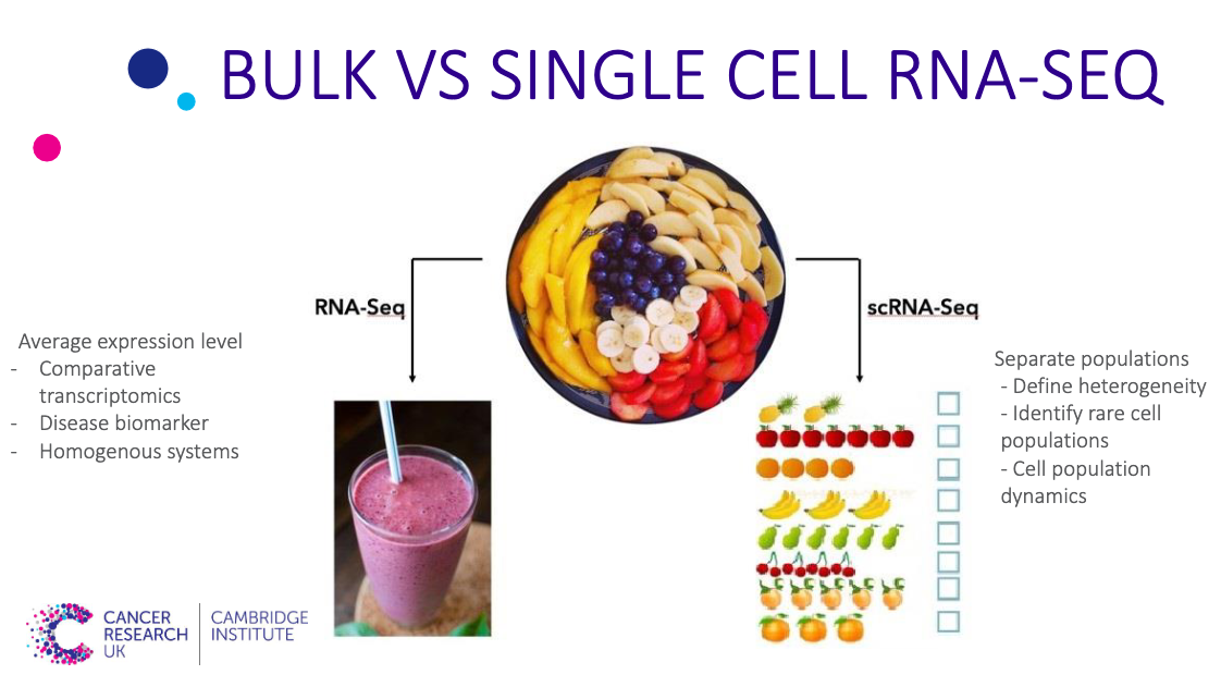 the difference between bulk RNA-seq and scRNA-seq