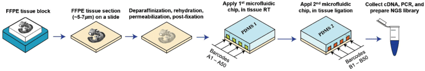 a general schematic showing a microfluidics workflow with DBit-seq on formalin-fixed paraffin embedded (FFPE) tissue