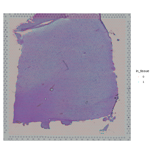 Histology slide with tissue and background spots labelled