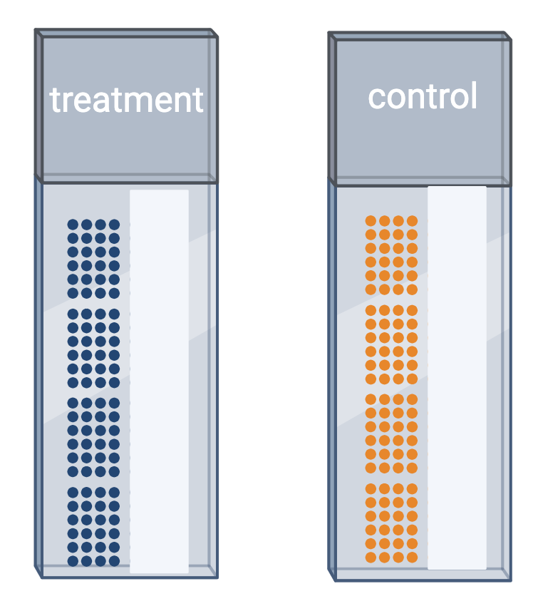 An experiment with treated samples on one slide and control samples on another.