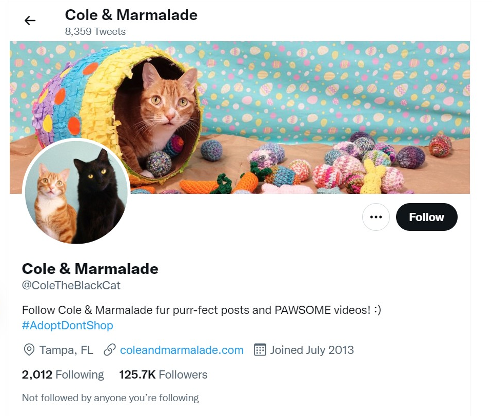 cole and marmalade