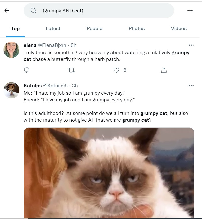 search tweets grumpy and cat