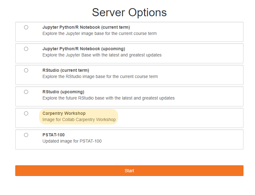 server options